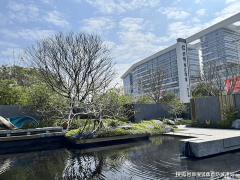 都有充脚的日照和优良的通风